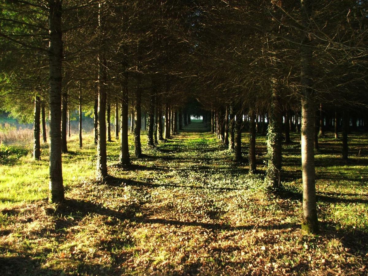 La Croix Gîtes Pressignac Extérieur photo